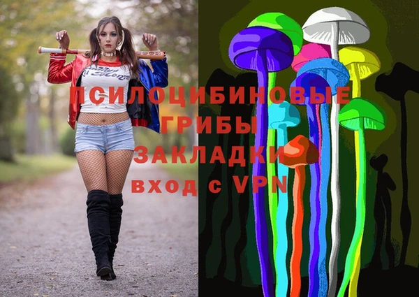 крисы Куйбышев