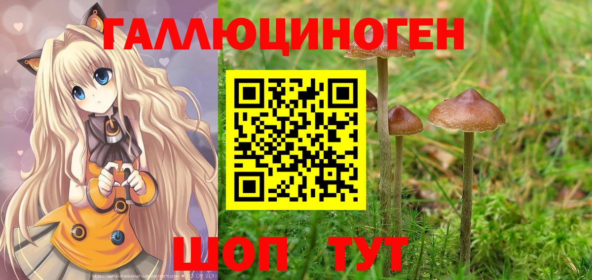 Галлюциногенные грибы прущие грибы Нижнекамск