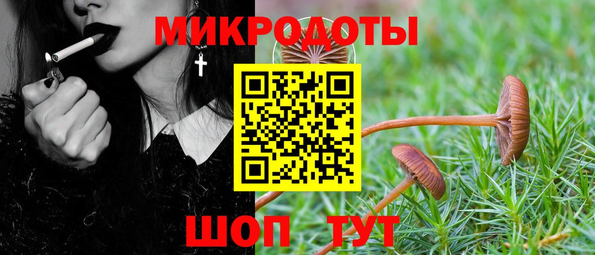 Нижнекамск  Галлюциногенные грибы Magic Shrooms  Псилоцибиновые грибы ЛСД  Вход с VPN 