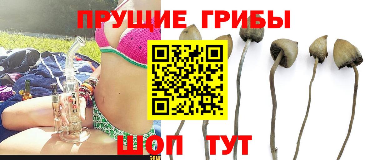 Псилоцибиновые грибы Magic Shrooms  Вход с VPN  Нижнекамск 